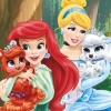 Disney Princess Castle Fun