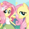 Fluttershy Pony vs Human 2