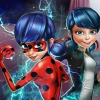 Ladybug Secret Mission