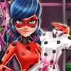 Miraculous Hero Closet