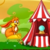 Mr Jumpz Adventureland