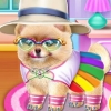 Pomeranian Puppy Day Care