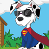 Puppy Fashion